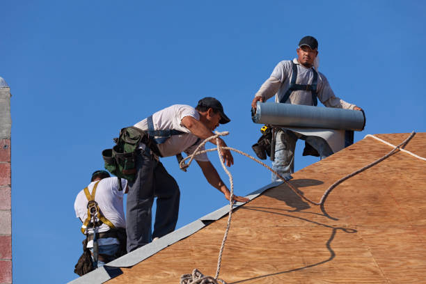 Best Gutter Installation and Roofing  in Electra, TX