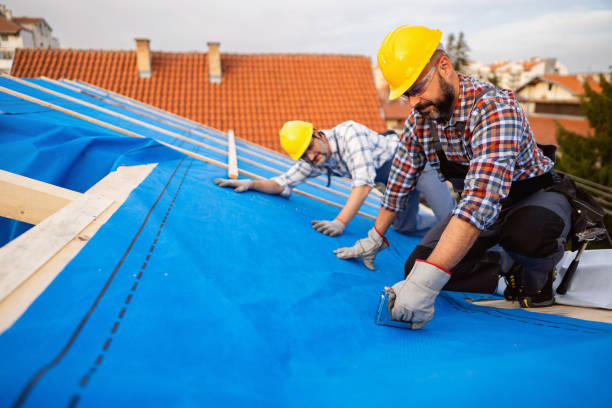 Best Storm Damage Roof Repair  in Electra, TX